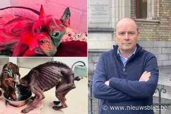 Zorgkundigen vragen vrijspraak voor verwaarlozing Bailey en Marley: “Je moet maar durven”