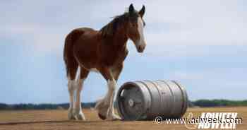 Budweiser’s ‘First Delivery’ Super Bowl Ad Tops 37th USA Today Ad Meter
