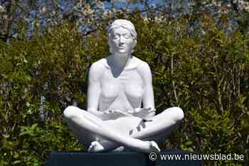 Karel Hadermann bezingt menselijk lichaam in expo in gemeentehuis van Schelle