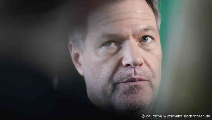 Stefan Weber vs. Robert Habeck: Plagiatsvorwürfe gegen Habeck und seine Frau