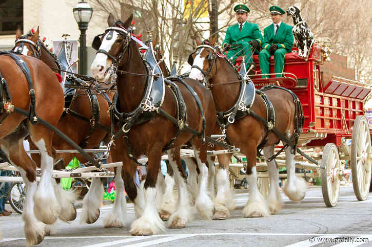 The Scoop: Most popular Super Bowl ads celebrate the little guy