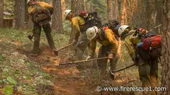 Bill would consolidate federal wildland firefighting resources