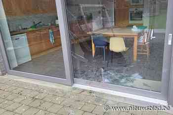 Losgeslagen everzwijn knalt tegen schuifraam van Wout (48): “De scherven lagen overal in de living”