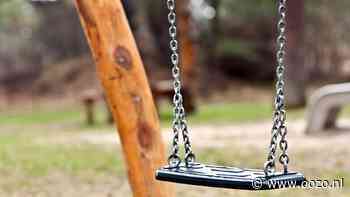 Schommel voor jong en oud in het Sportpark