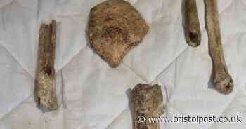 Spooked farmer finds human leg and arm bones sticking out of ground