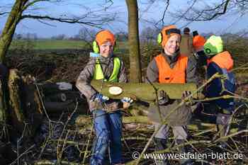 Vlotho: Große Hilfe bei der Gehölzpflege am Hof Nolting