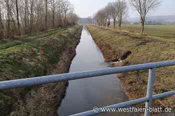 Kreative Idee:  Radweg auf Dieck-Wall könnte richtungsweisend sein