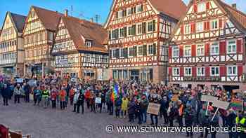 Demo gegen Rechts in Calw: „Wehret den Anfängen – doch welchen Anfängen? Wir sind mittendrin“