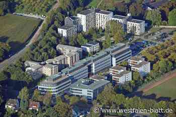 Wie ein Speed-Dating: 90 WG-Zimmer zu vergeben