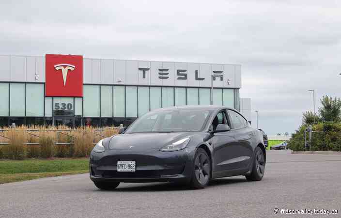 Singh promises 100% tariffs on Tesla, revival of electric vehicle incentive program