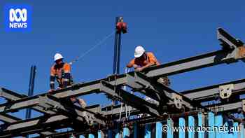 Auckland's housing crisis changed quickly. Australia could do the same