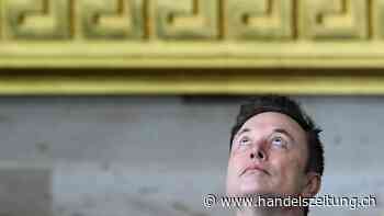 Musk-Gruppe bietet laut Medienbericht für Kontrolle über OpenAI