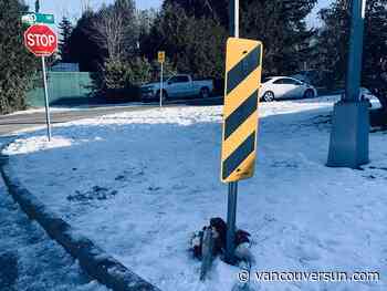 IIO investigating death of high-schooler in confrontation with Mounties