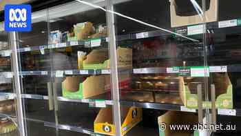 Why is there still an egg shortage on some supermarket shelves?