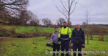 New fundraising initiative aims to create fruit orchard