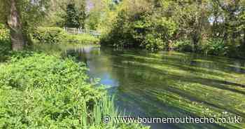 Estate fined nearly £28,000 for over-abstraction of water