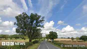 One dead and two injured after car hits tree