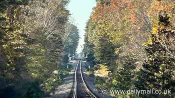 Scientist solves mystery of 'Summerville Ghost' of South Carolina that's terrorized locals since the 1950s