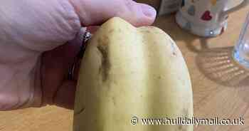 Morrisons shopper finds very weird banana in her groceries