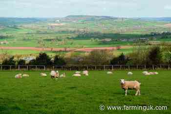 Emissions from UK farming overtake electricity for first time