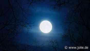 Februar-Vollmond: 3 Sternzeichen werden vom Glück geküsst