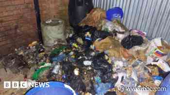 Burger bar boss sentenced for rats at premises