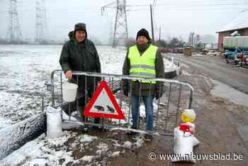 Hier steken padden veilig de baan over: “Van honderd slachtoffers per dag, naar vijf”