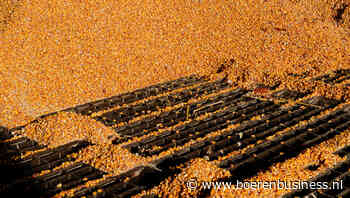 Wasde zet Amerikaanse graanmarkt nu al op scherp