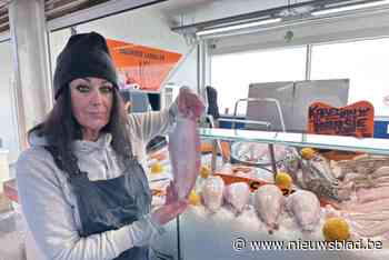 Vissers mogen voortaan kleinere tong vangen in onze Noordzee