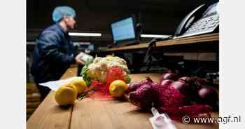 Samenwerking voor slimmere verslogistiek in Zuid-Holland