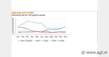 Uien- en aardappelsector stabiel met goede vooruitzichten