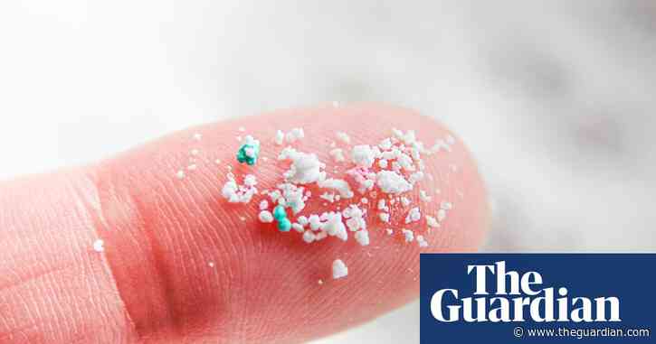 Microplastics can block blood vessels in mice brains, researchers find