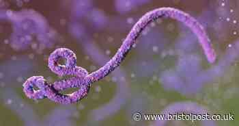 Nine confirmed cases of ebola as authorities monitor 265 people