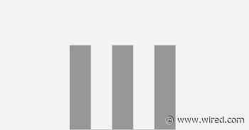 The 5 Best Travel Pillows (2025), Tested and Reviewed