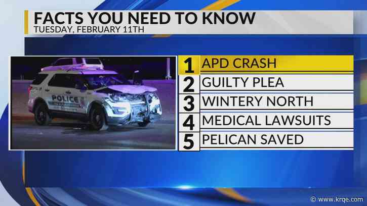 KRQE Newsfeed: APD crash, Guilty plea, Wintry weather, Medical lawsuits, Pelican saved