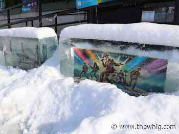 Kingston's Froid’art enters final year