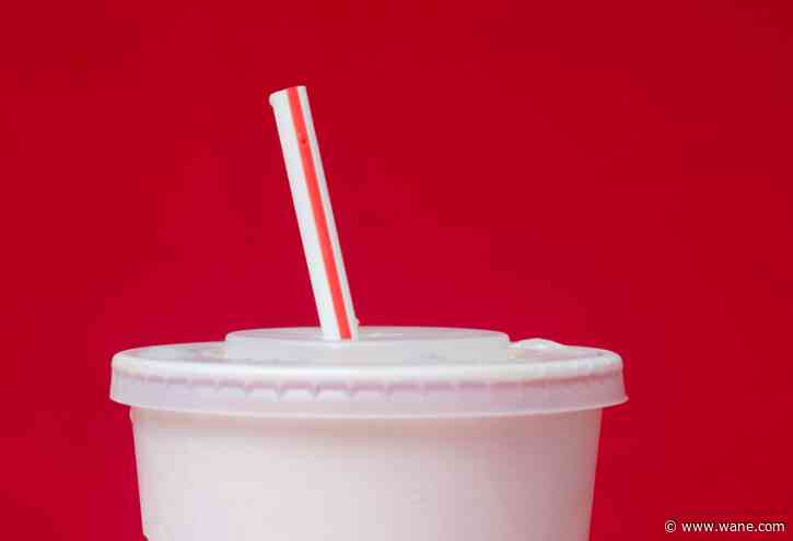 'Back to plastic': Trump signs order for plastic straws as he declares paper ones 'don’t work'