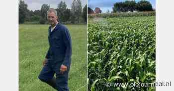 "Sorghum is een onderschat gewas en biedt volop kansen"