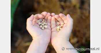Gezamenlijke verklaring over de deregulatie van nieuwe GMO’s