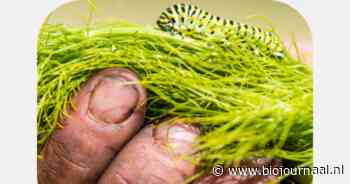 Natuurinclusieve benadering bij biologische bedrijven versterken