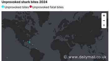 World's shark attack hotspots REVEALED: Map shows the areas with the most encounters in 2024 - including four that proved fatal