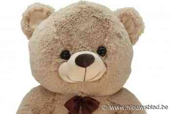 “Doe niet dom en denk aan jullie kindje”: twee jaar cel voor diefstal van 6.000 euro uit teddybeer