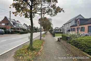 Werken aan fietspad Hoge Weg starten tweede fase: “Omleiding lijnbussen aangepast”