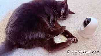 How I set up the ultimate home cat monitoring system with Eufy cameras