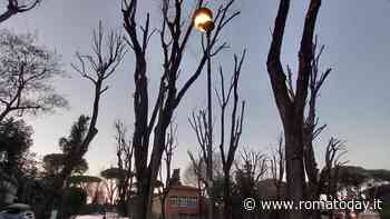 Parco di San Sebastiano, con le potature distrutti due lampioni davanti la scuola
