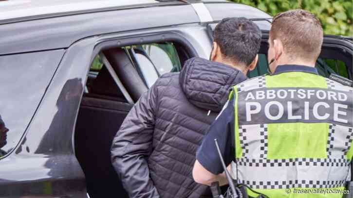 Man suspected of 3rd DUI in nearly 3 years caught after trying to flee from police: Abbotsford PD