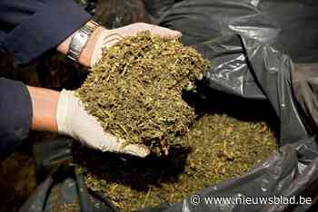 Politie Brussel Noord neemt 3 kilogram cannabis en 52.700 euro cash in beslag