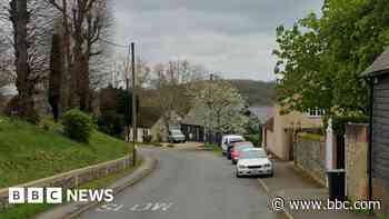 Woman dies in village house fire