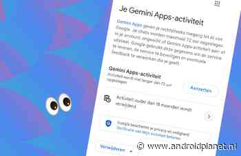 Gemini en privacy: zo zorg je dat je gesprekken veilig blijven