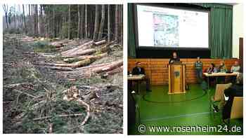 Renaturierung verschoben? Neue Pläne für die Raublinger Hochrunstfilze